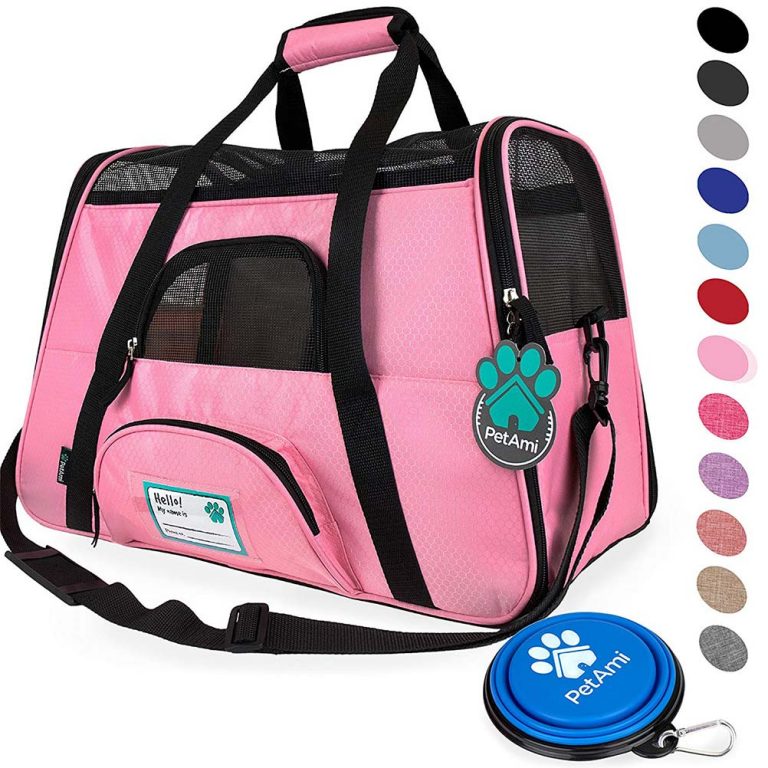 The Best Dog Accessories Shop Online My ESA Doctor